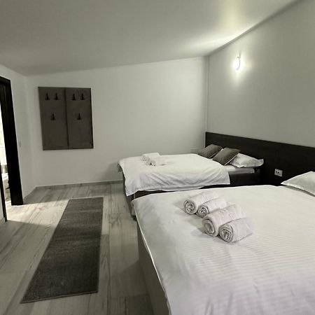 Modern House Otel Sighetu Marmaţiei Dış mekan fotoğraf