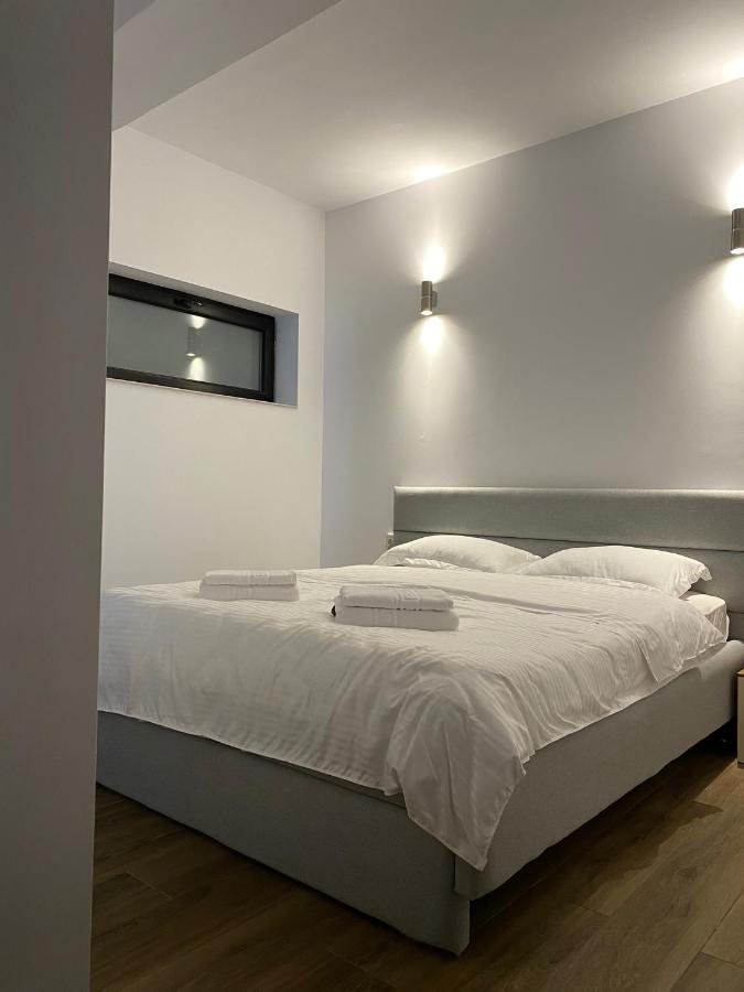 Modern House Otel Sighetu Marmaţiei Dış mekan fotoğraf