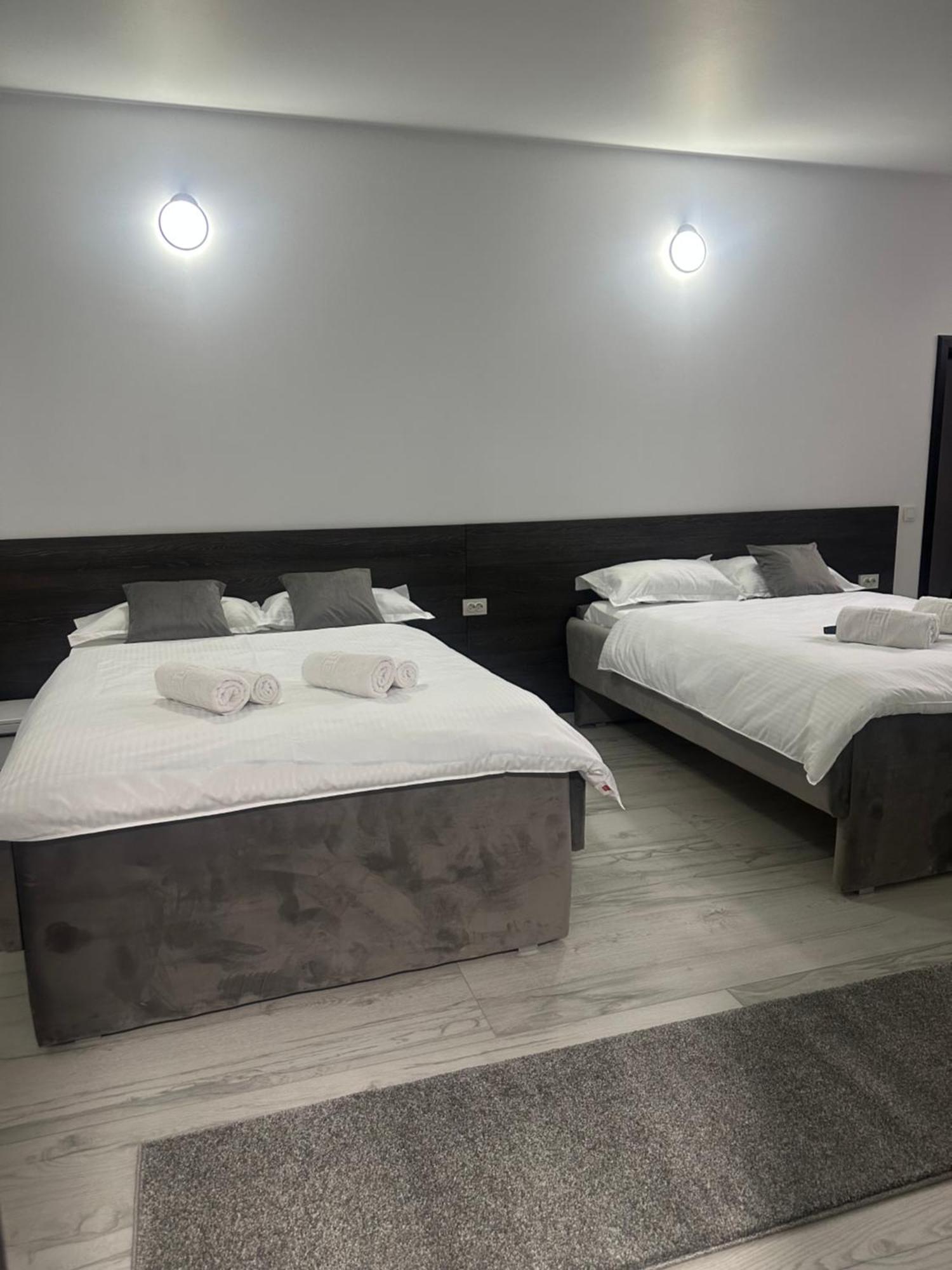 Modern House Otel Sighetu Marmaţiei Dış mekan fotoğraf